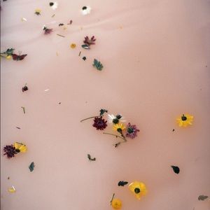 Meet your Posher, Karlie